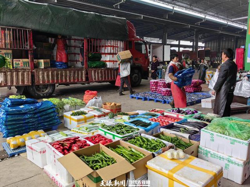 精准把握市场脉搏,探讨食堂食材配送行业的最新趋势