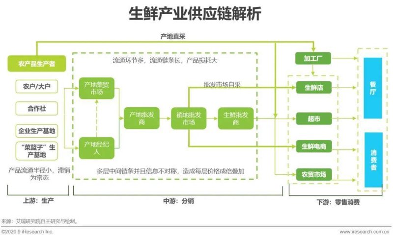 蔬菜水果批发：行业动态与市场趋势