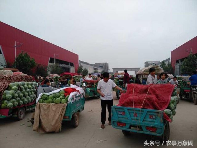 生鲜配送市场的活力与变革